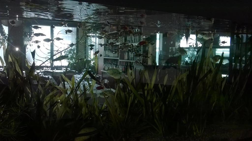 Locanda Ai Due Orsi Milano Cameră foto